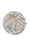 Patek Philippe | COMPLICAZIONI, ORE E MINUTI SU RICHIESTA, CARICA AUTOMATICA - 5249R-001 (6)