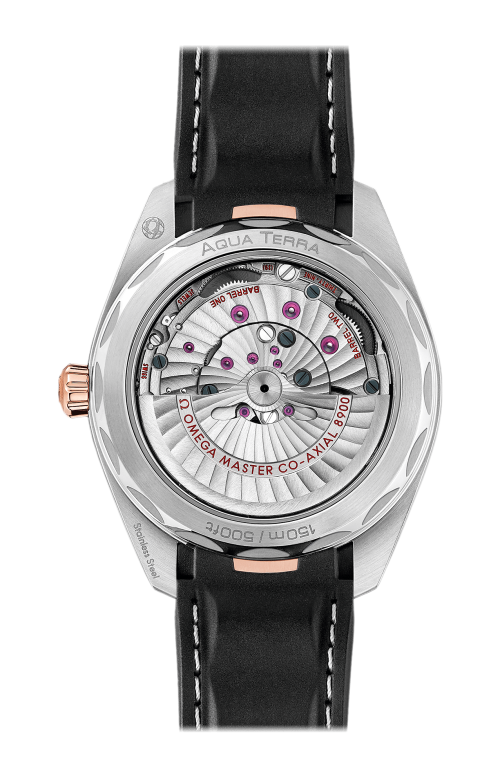 Accedi alla scheda di Omega SEAMASTER AQUA TERRA 150M 41 MM, ACCIAIO-ORO SEDNA&trade; SU CAUCCI&Ugrave; - 220.22.41.21.02.001