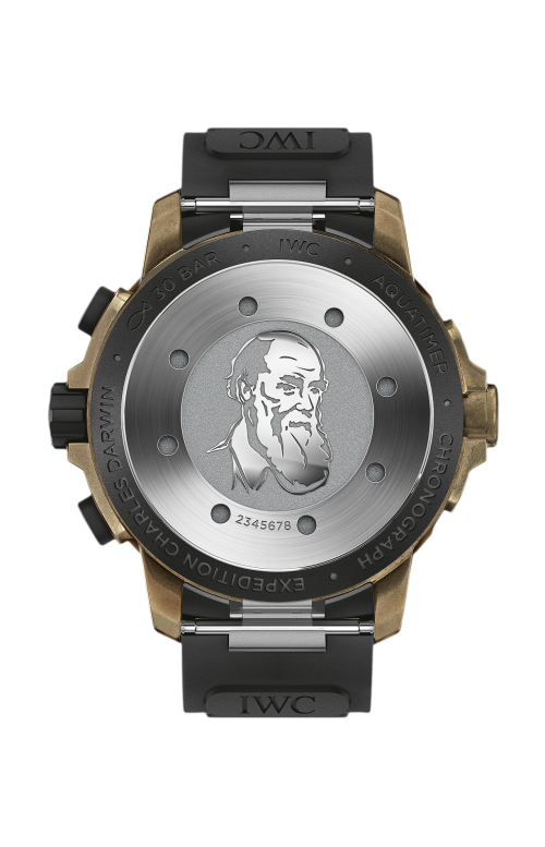 Accedi alla scheda di Iwc Schaffhausen AQUATIMER CHRONOGRAPH EDITION 