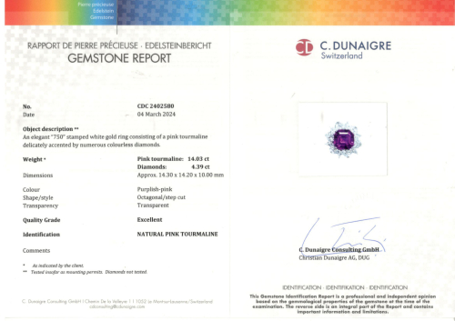 Accedi alla scheda di Bartorelli Italian Jewels ANELLO FIORE GRANDE IN ORO BIANCO CON TORMALINA ROSA E DIAMANTI - 159-C678