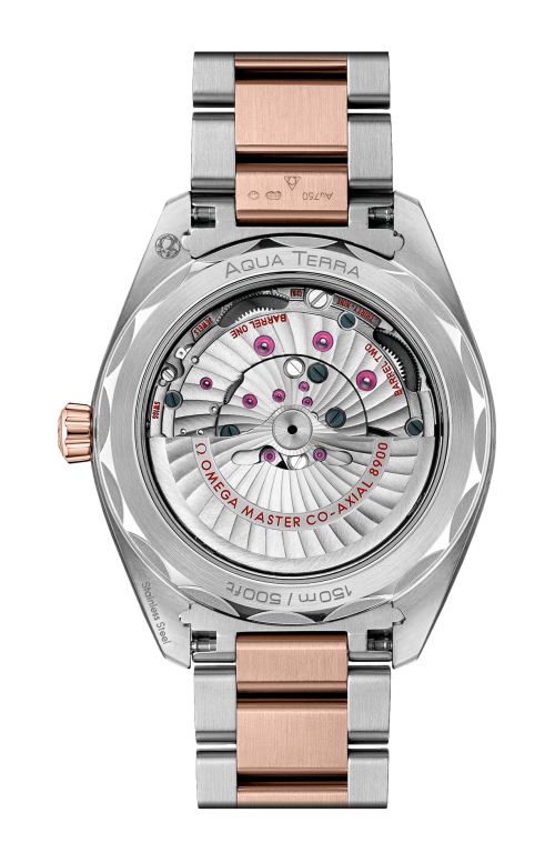 Accedi alla scheda di Omega SEAMASTER AQUA TERRA 150M 41 MM, ACCIAIO-ORO SEDNA&trade; SU ACCIAIO-ORO SEDNA&trade; - 220.20.41.21.02.001