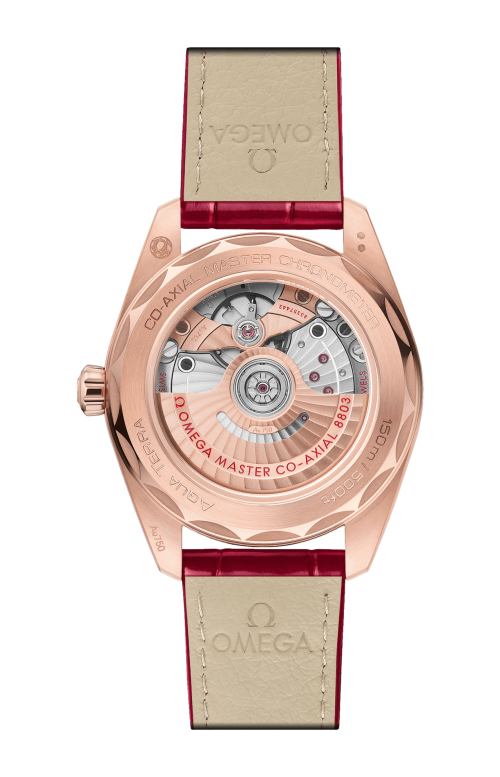 Accedi alla scheda di Omega SEAMASTER AQUA TERRA 150M 38 MM, ORO SEDNA&trade; SU PELLE - 220.58.38.20.55.002