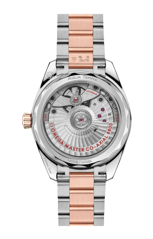 Accedi al prodotto correlato Omega SEMASTER AQUA TERRA SHADES 34 MM, ACCIAIO‑ORO SEDNA&trade; SU ACCIAIO‑ORO SEDNA&trade; - 220.20.34.20.10.001