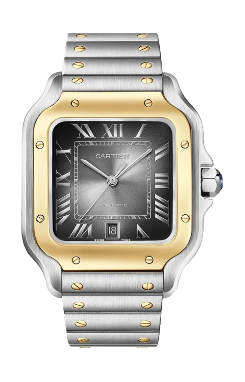 Accedi al prodotto correlato Cartier SANTOS DE CARTIER, MODELLO GRANDE, ACCIAIO, ORO ROSA, AUTOMATICO - W2SA0030