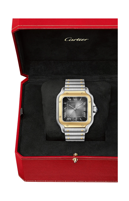 Accedi al prodotto correlato Cartier SANTOS DE CARTIER, MODELLO GRANDE, ACCIAIO, ORO ROSA, AUTOMATICO - W2SA0030