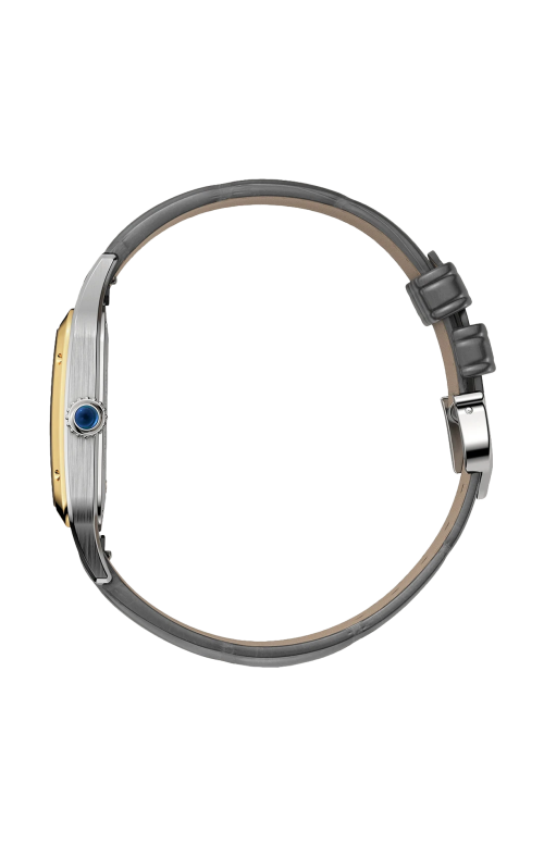 Accedi alla scheda di Cartier SANTOS-DUMONT, MODELLO GRANDE, ACCIAIO, ORO GIALLO, QUARZO - W2SA0036