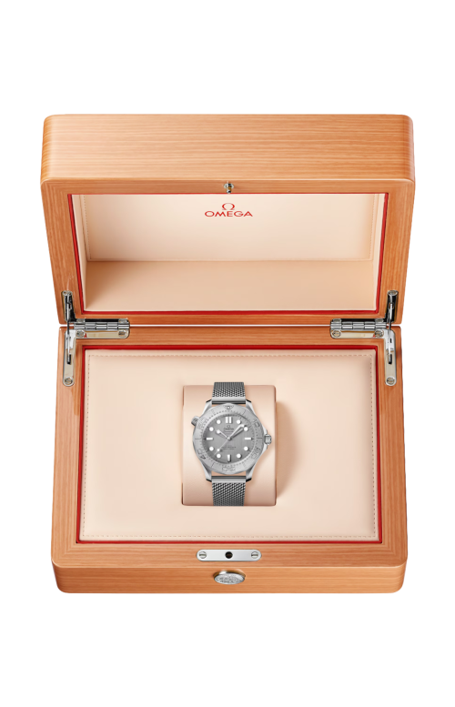 Accedi alla scheda di Omega SEAMASTER DIVER 300M 42 MM, ACCIAIO SU ACCIAIO - 210.30.42.20.06.002