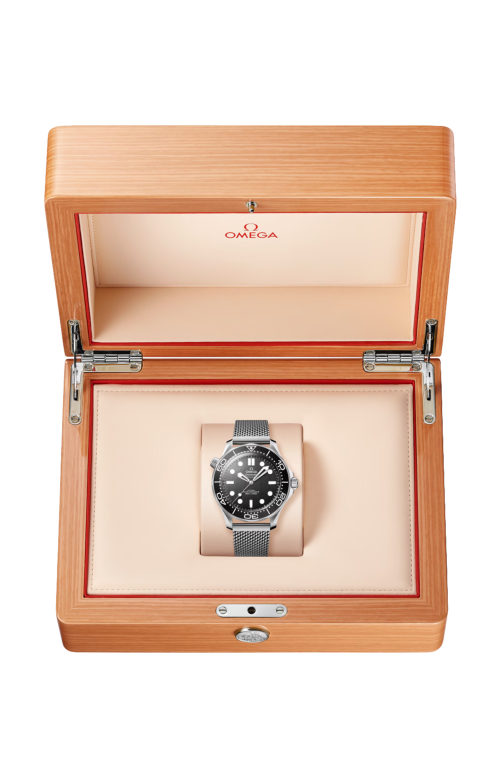 Accedi alla scheda di Omega SEAMASTER DIVER 300M 42 MM, ACCIAIO SU ACCIAIO - 210.30.42.20.01.010