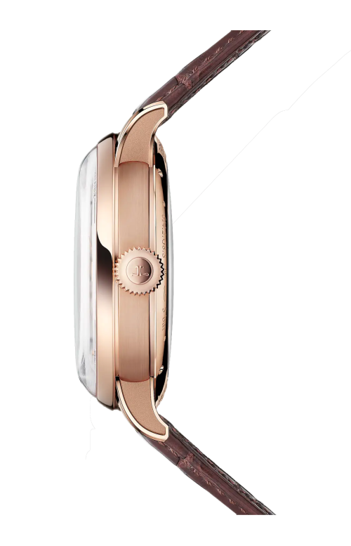 Accedi alla scheda di Jaeger-Lecoultre DUOMETRE HELIOTOURBILLON PERPETUAL - LIMITED EDITION - 6202420