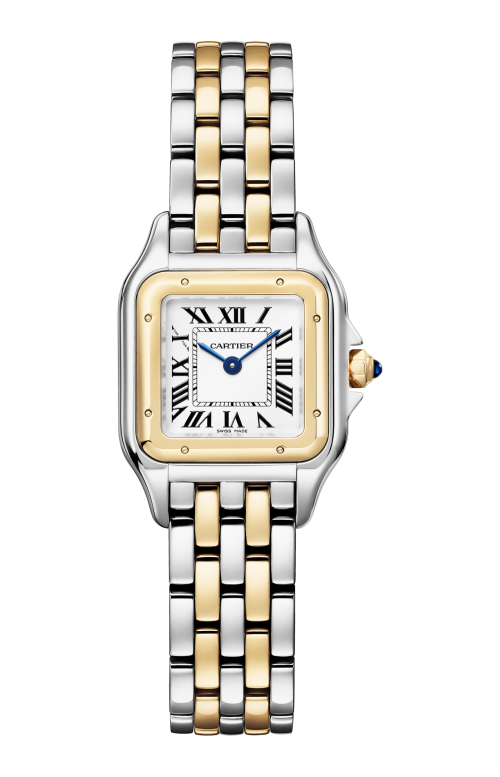 Accedi al prodotto correlato Cartier PANTH&Egrave;RE DE CARTIER MODELLO PICCOLO, ORO GIALLO, ACCIAIO, QUARZO - W2PN0018