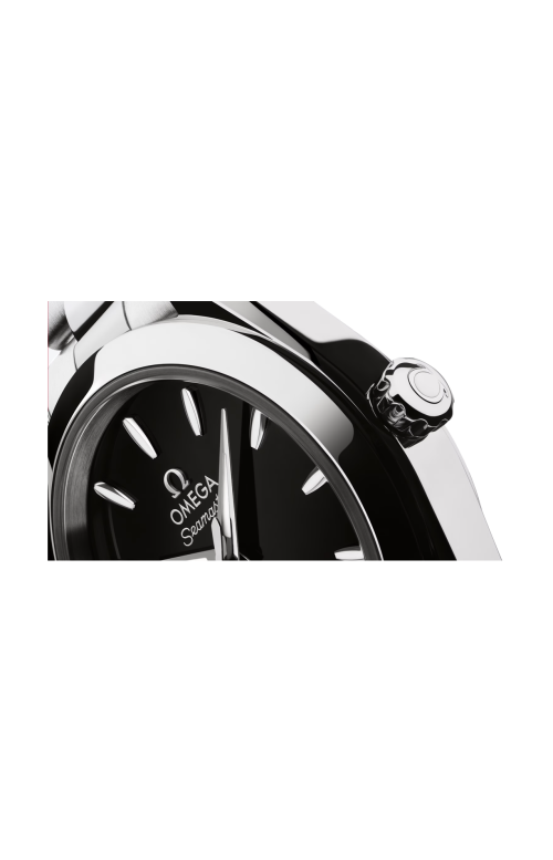 Accedi alla scheda di Omega SEAMASTER AQUA TERRA 150M 30 MM, ACCIAIO SU ACCIAIO - 220.10.30.20.01.001