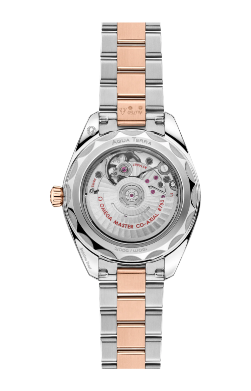 Accedi al prodotto correlato Omega SEAMASTER AQUA TERRA 150M 30 MM, ACCIAIO-ORO SEDNA&trade; SU ACCIAIO-ORO SEDNA&trade; - 220.20.30.20.63.001