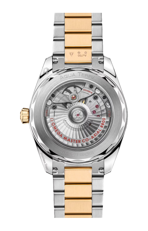 Accedi alla scheda di Omega SEAMASTER AQUA TERRA 150M 38 MM, ACCIAIO-ORO MOONSHINE&trade; SU ACCIAIO-ORO MOONSHINE&trade; - 220.20.38.20.10.002