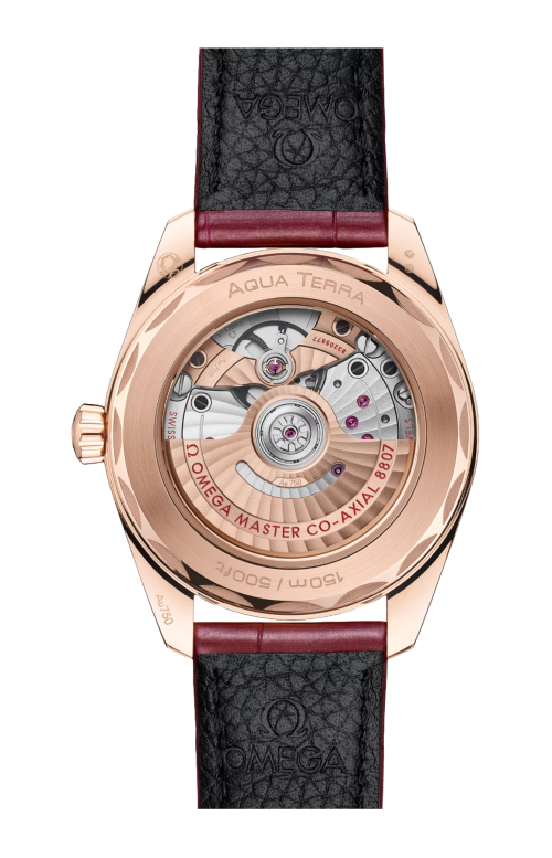 Accedi alla scheda di Omega SEAMASTER AQUA TERRA 150M 38 MM, ORO SEDNA&trade; SU PELLE - 220.58.38.20.99.007