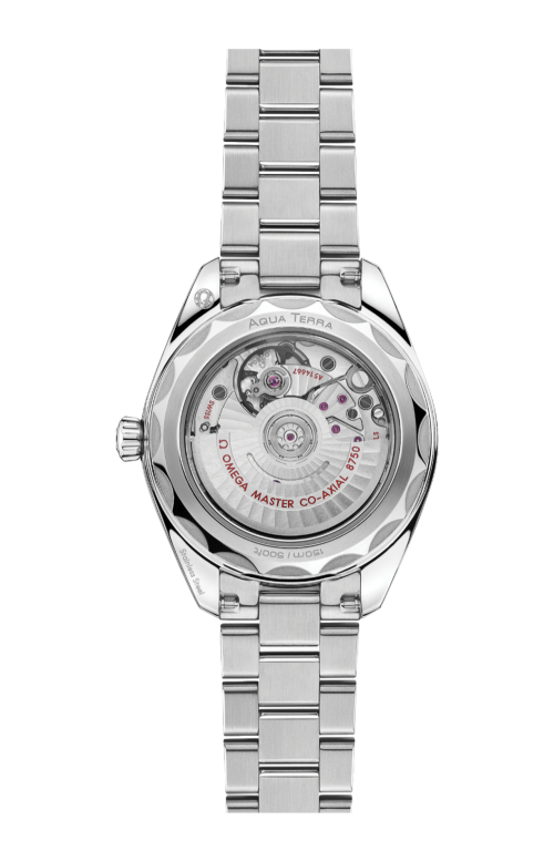 Accedi al prodotto correlato Omega SEAMASTER AQUA TERRA 150M 30 MM, ACCIAIO SU ACCIAIO - 220.10.30.20.55.001