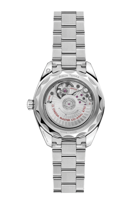 Accedi al prodotto correlato Omega SEAMASTER AQUA TERRA 150M30 MM, ACCIAIO SU ACCIAIO - 220.10.30.20.60.001