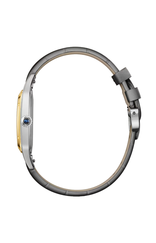 Accedi al prodotto correlato Cartier SANTOS-DUMONT MODELLO GRANDE, ORO GIALLO, ACCIAIO, QUARZO - W2SA0046