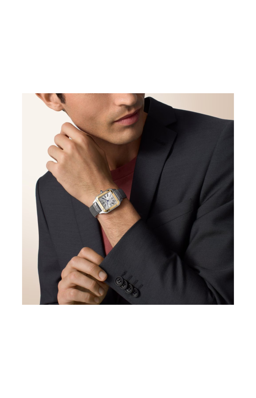 Accedi al prodotto correlato Cartier SANTOS-DUMONT MODELLO GRANDE, ORO GIALLO, ACCIAIO, QUARZO - W2SA0046