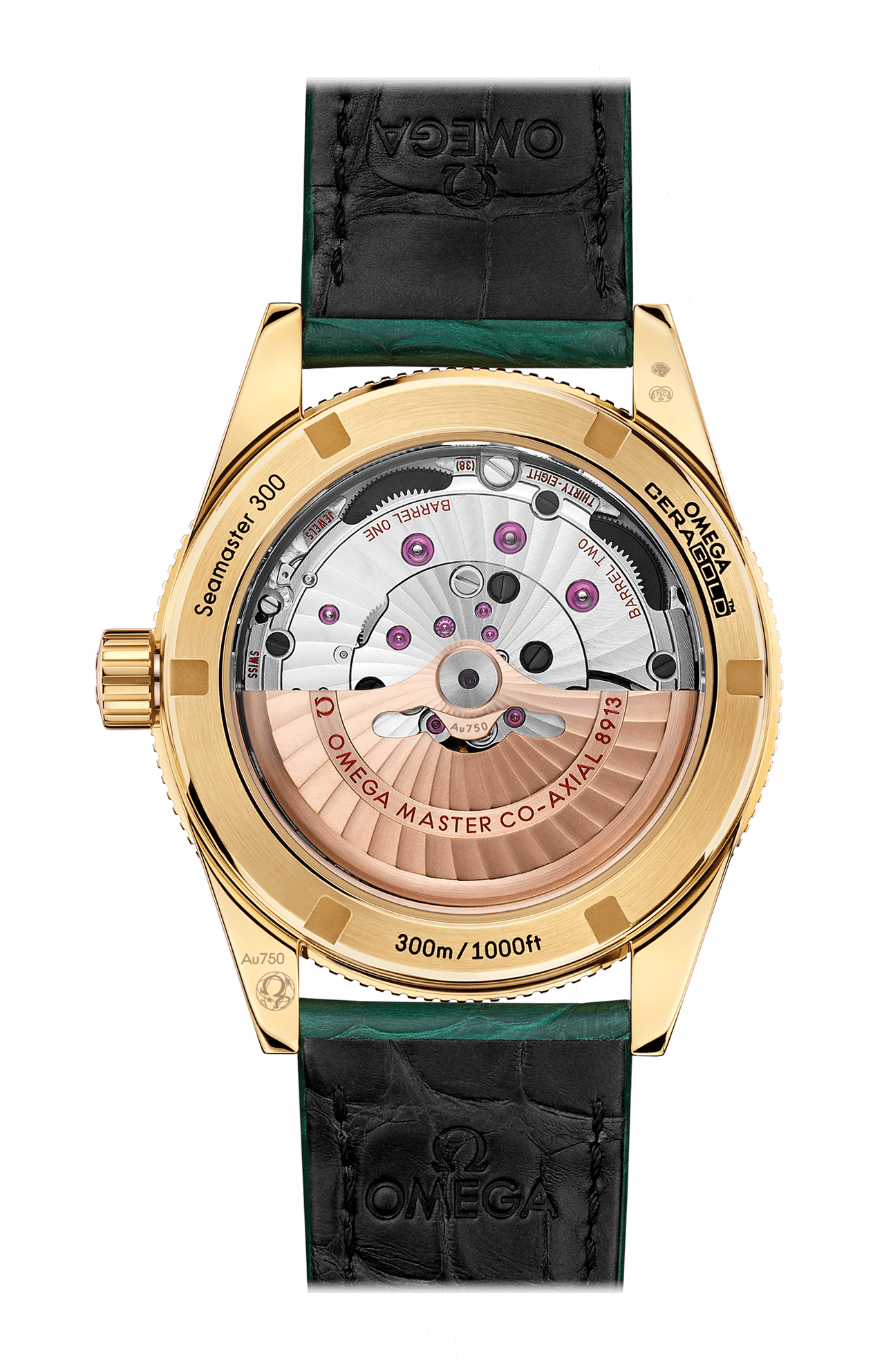 Omega | SEAMASTER 300 41 MM, ORO GIALLO SU PELLE - 234.63.41.21.99.001 (2)