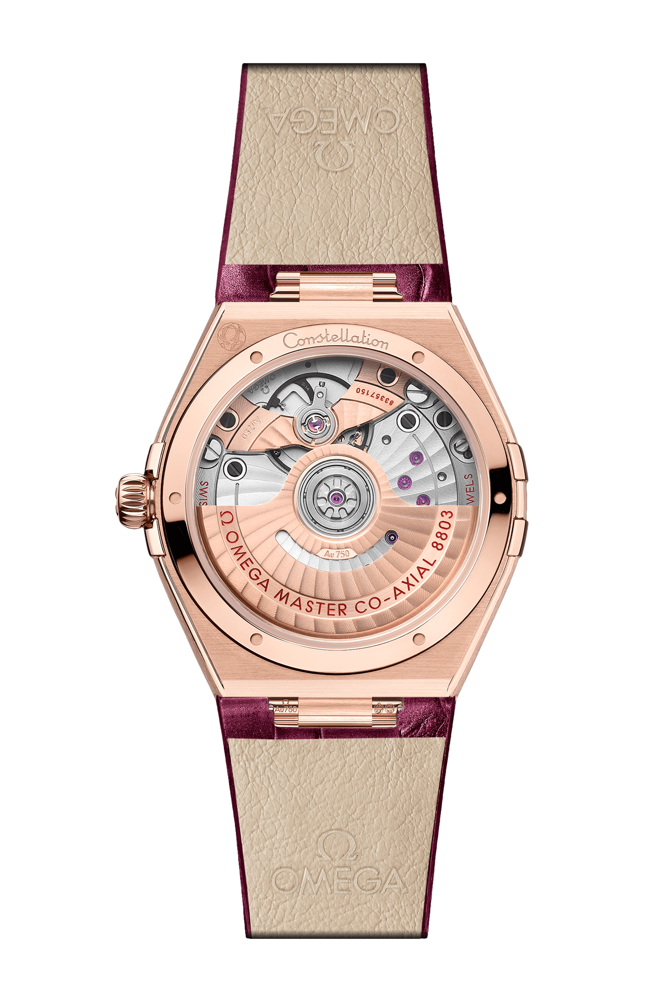 Omega | CONSTELLATION 34 MM, ORO SEDNA&trade; SU PELLE - 131.58.34.20.61.001 (2)