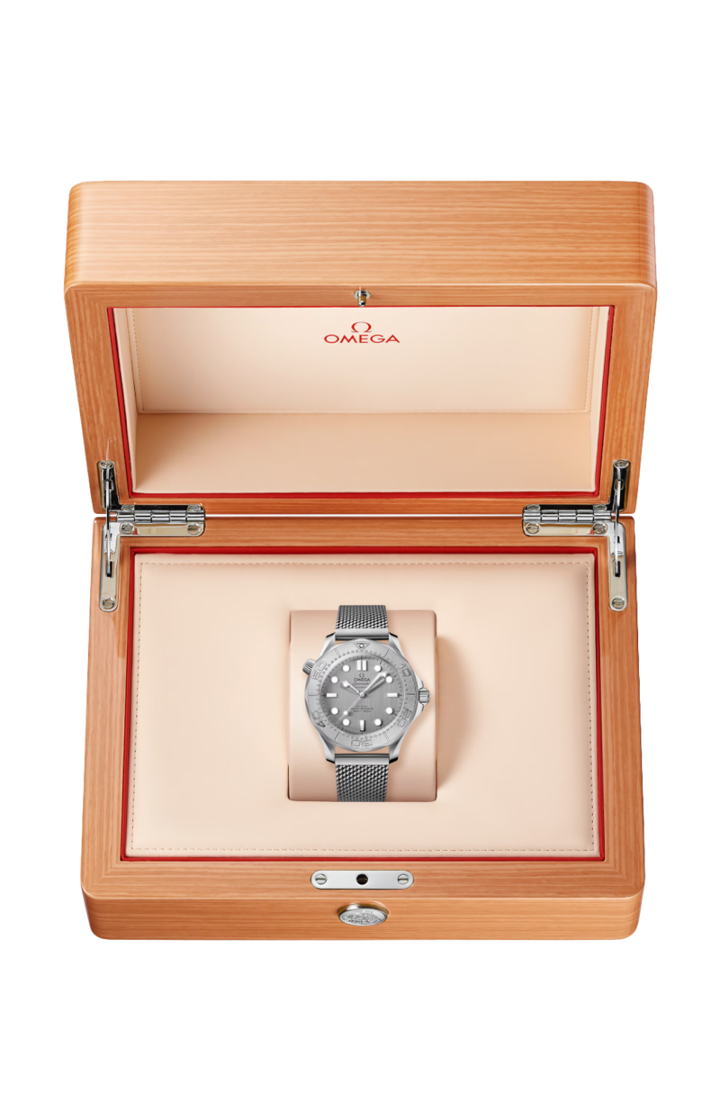 Omega | SEAMASTER DIVER 300M 42 MM, ACCIAIO SU ACCIAIO - 210.30.42.20.06.002 (4)