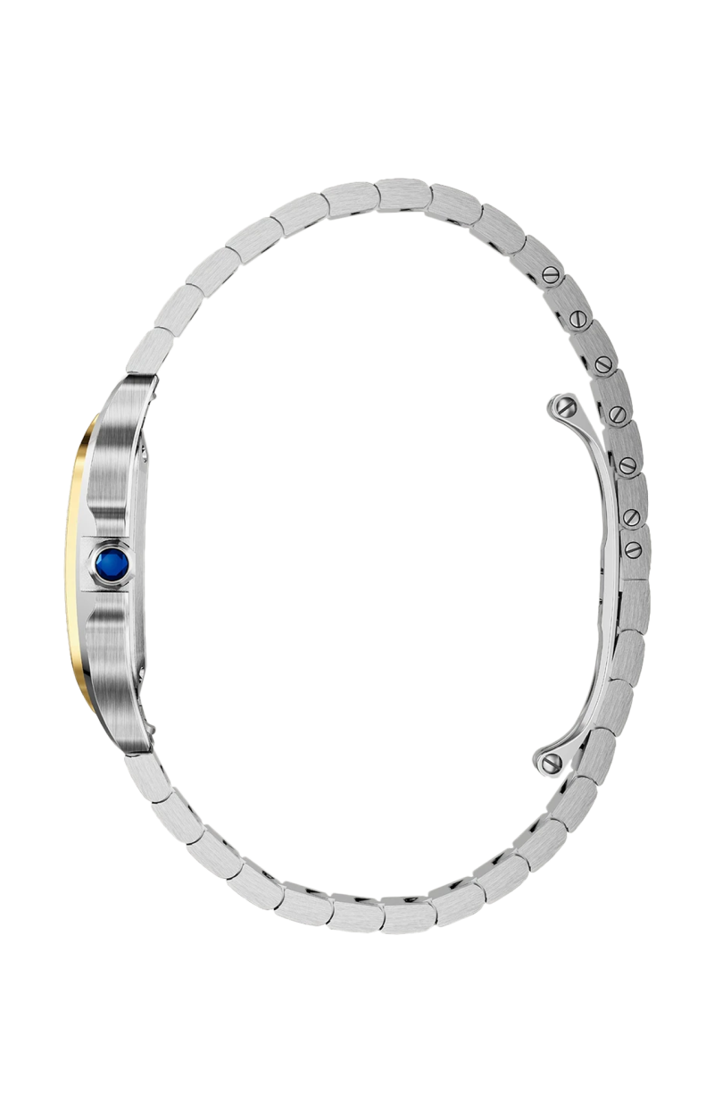 Cartier | SANTOS DE CARTIER MODELLO PICCOLO, ACCIAIO E ORO GIALLO, QUARZO - W2SA0033 (3)