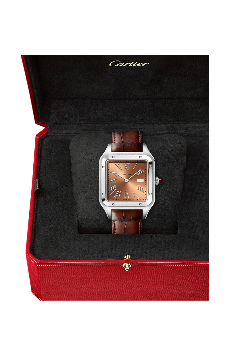 Cartier | SANTOS-DUMONT MODELLO EXTRA-LARGE, PALTINO, MANUALE - LIMITED EDITION - WGSA0113 (4)