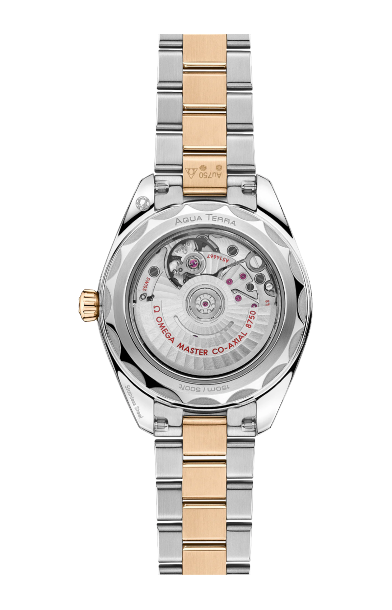 Omega | SEAMASTER AQUA TERRA 150M 30 MM, ACCIAIO-ORO MOONSHINE&trade; SU ACCIAIO-ORO MOONSHINE&trade; - 220.25.30.20.55.001 (2)