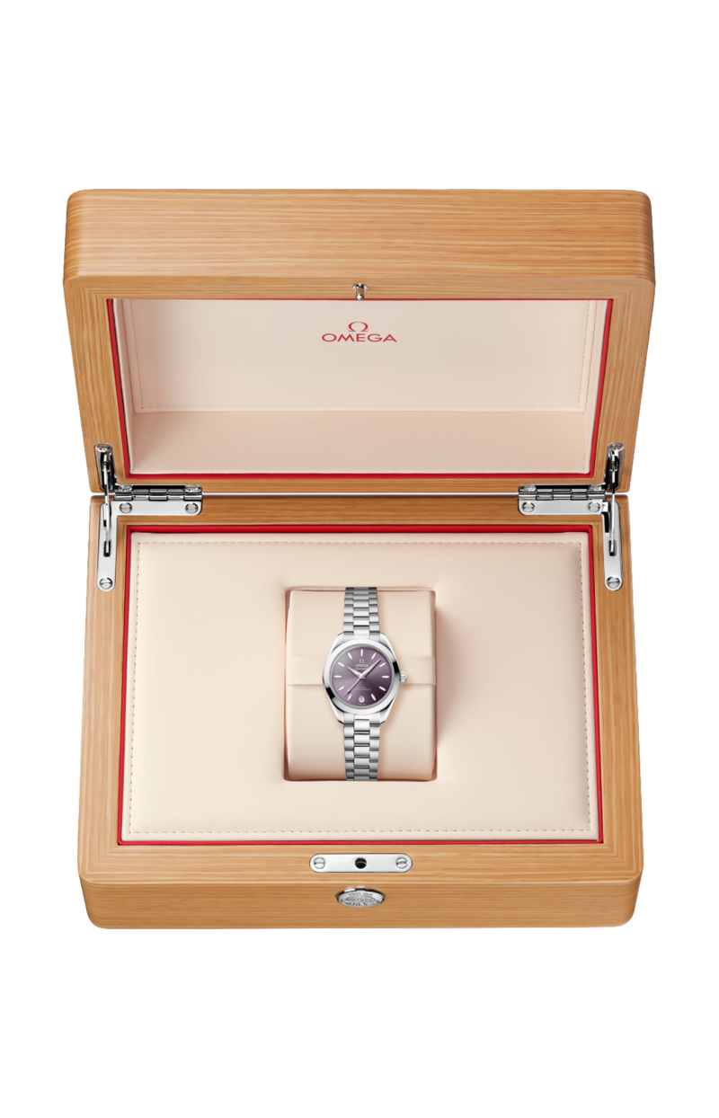 Omega | SEAMASTER AQUA TERRA 150M 30 MM, ACCIAIO SU ACCIAIO - 220.10.30.20.10.002 (5)