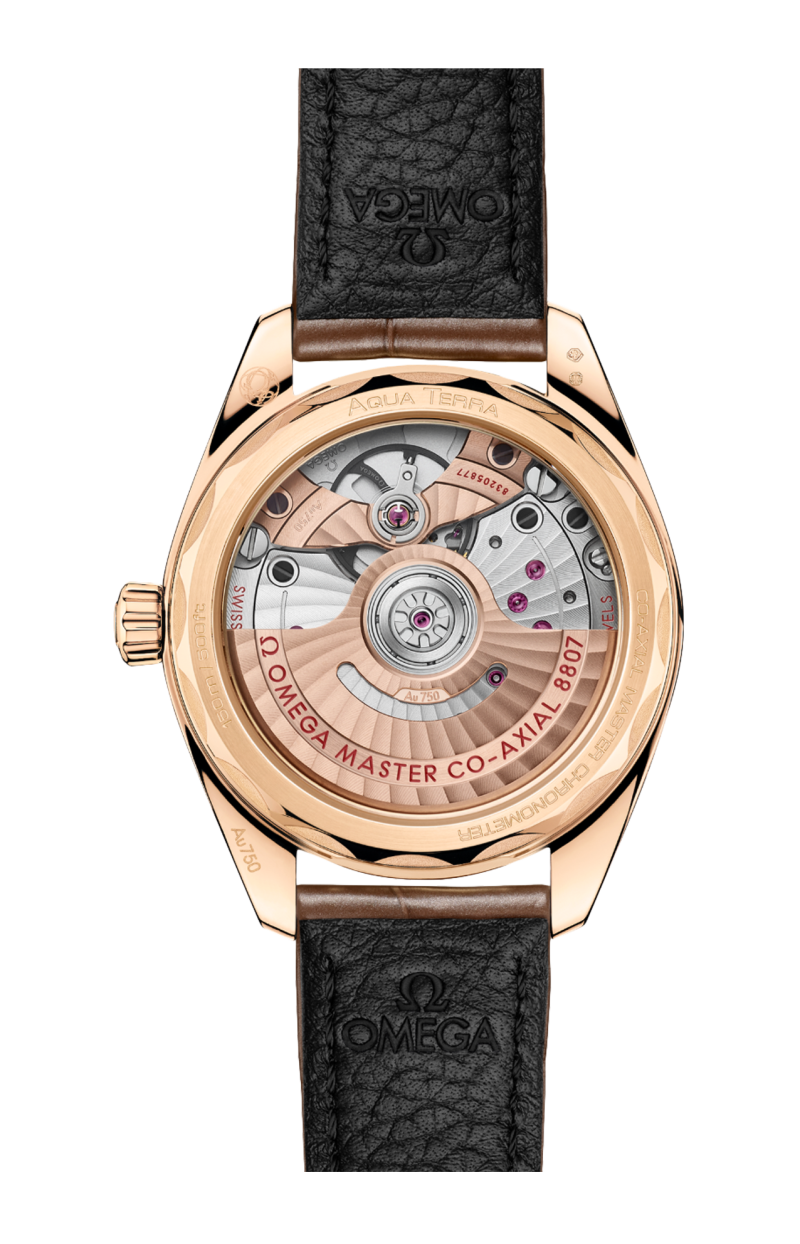 Omega | SEAMASTER AQUA TERRA 150M 34 MM, ORO MOONSHINE&trade; SU PELLE - 220.58.34.20.99.008 (2)