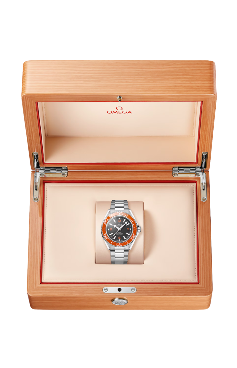 Omega | SEAMASTER PLANET OCEAN 600M 42 MM, ACCIAIO SU ACCIAIO - 217.30.42.21.01.003 (3)
