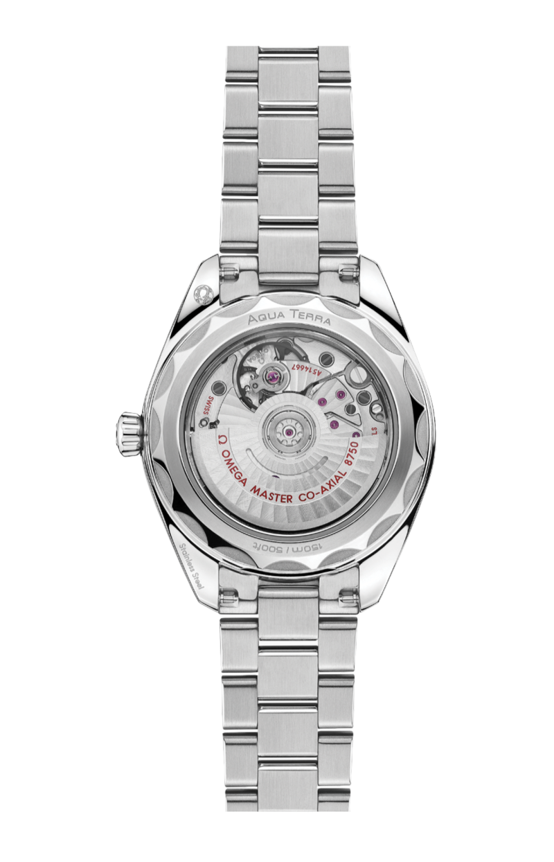 Omega | SEAMASTER AQUA TERRA 150M 30 MM, ACCIAIO SU ACCIAIO - 220.10.30.20.09.001 (2)