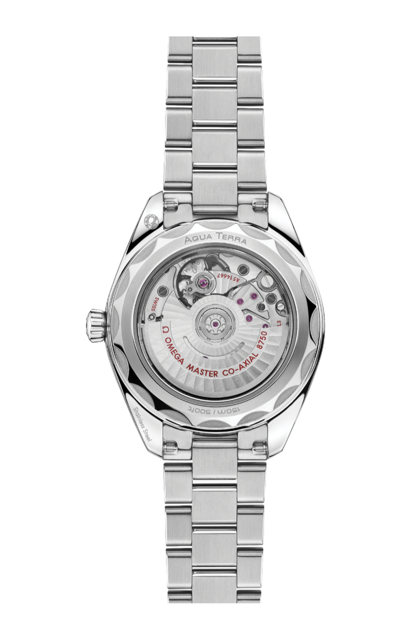 Omega | SEAMASTER AQUA TERRA 150M 30 MM, ACCIAIO SU ACCIAIO - 220.10.30.20.55.001 (2)