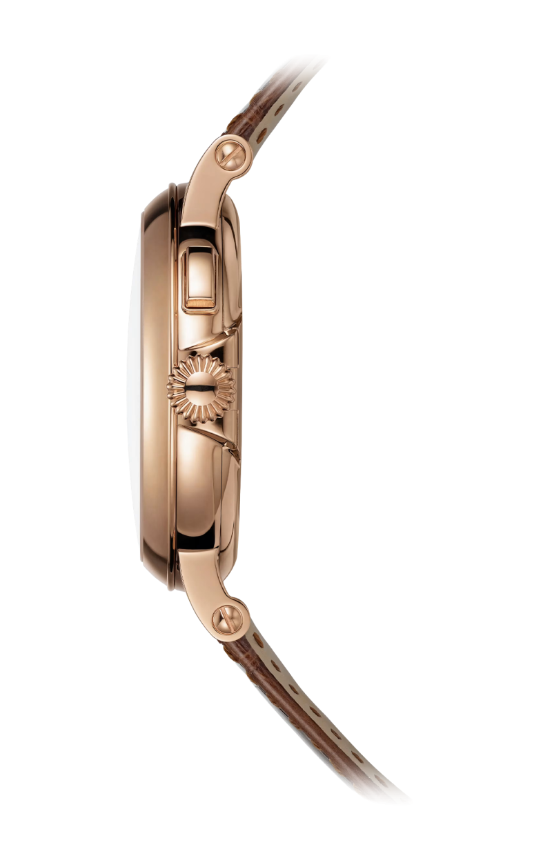 Patek Philippe | COMPLICAZIONI, ORE E MINUTI SU RICHIESTA, CARICA AUTOMATICA - 5249R-001 (3)