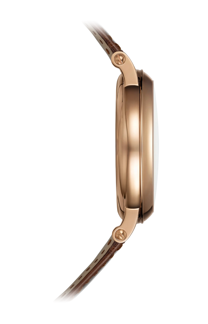 Patek Philippe | COMPLICAZIONI, ORE E MINUTI SU RICHIESTA, CARICA AUTOMATICA - 5249R-001 (4)