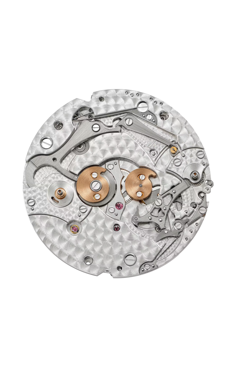 Patek Philippe | COMPLICAZIONI, ORE E MINUTI SU RICHIESTA, CARICA AUTOMATICA - 5249R-001 (5)