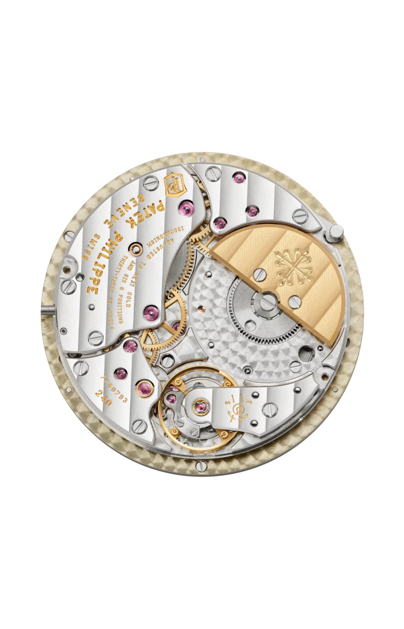 Patek Philippe | COMPLICAZIONI, ORA UNIVERSALE, CARICA AUTOMATICA - 7129J-001 (6)