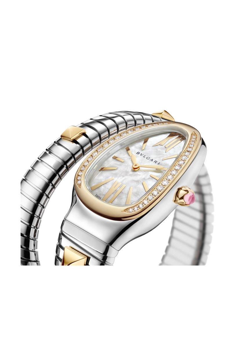 Bulgari | SERPENTI TUBOGAS GOLD & STEEL - LIMITED EDITION - RE00153 (2)