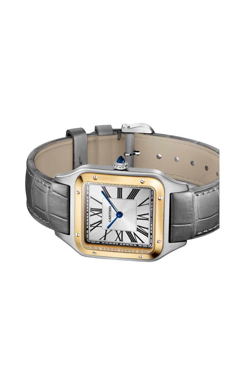 Cartier | SANTOS-DUMONT MODELLO GRANDE, ORO GIALLO, ACCIAIO, QUARZO - W2SA0046 (5)