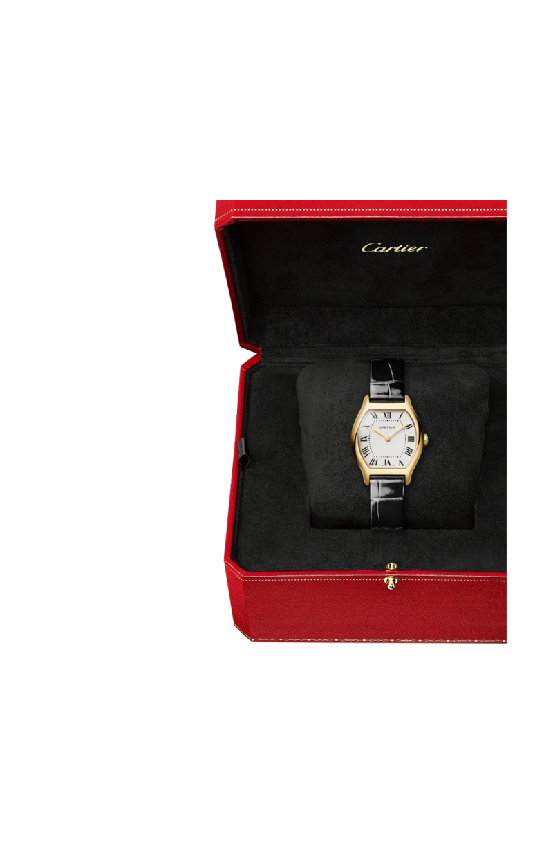Cartier | TORTUE MODELLO PICCOLO, ORO GIALLO, QUARZO - WGTO0015 (6)
