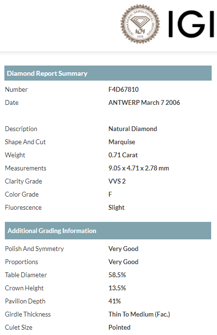 Bartorelli Italian Jewels | ANELLO RAMI IN PLATINO E DIAMANTI CERTIFICATI IGI - 3M00053W (4)
