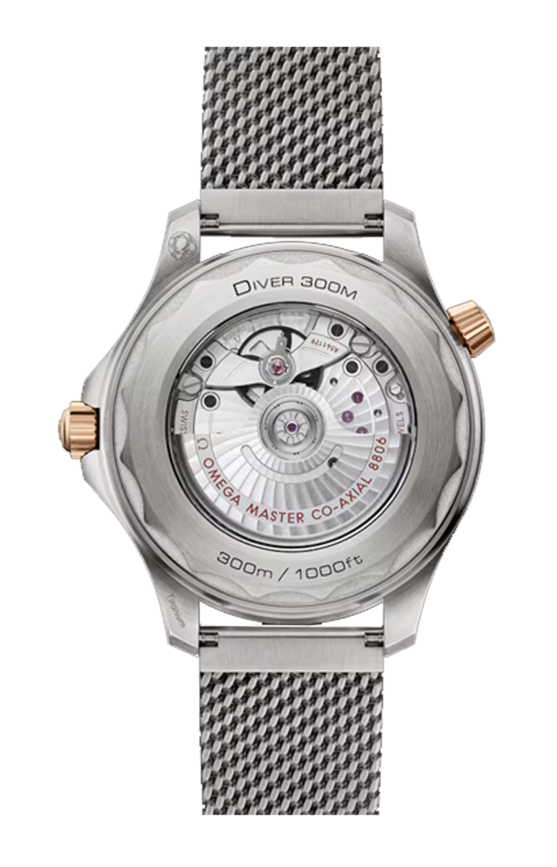 Omega | SEAMASTER DIVER 300M 42 MM, TITANIO‑BRONZE GOLD SU TITANIO - 210.90.42.20.10.001 (2)